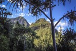 The Imposing Cliffs of Kaua’i